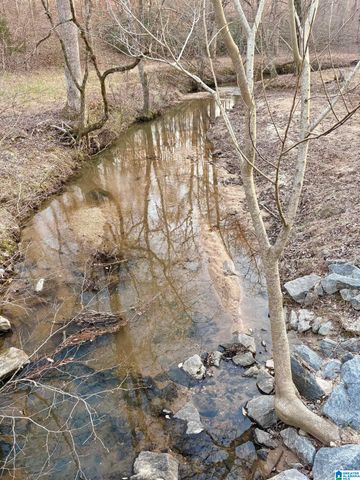 600 COOSA COUNTY ROAD 301, Rockford, AL 35136