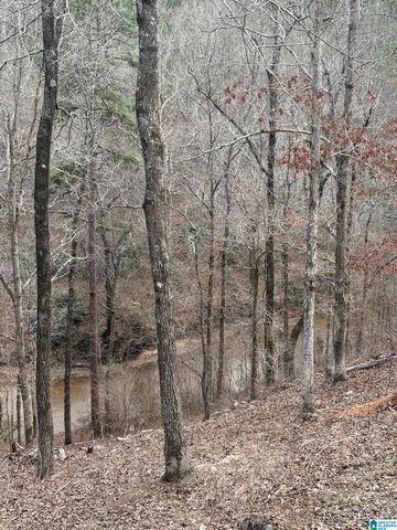 600 COOSA COUNTY ROAD 301, Rockford, AL 35136