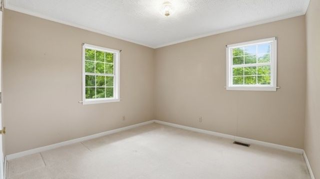 91 Golden Rd, Lynchburg, TN 37352