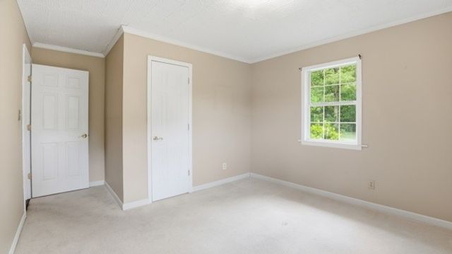 91 Golden Rd, Lynchburg, TN 37352