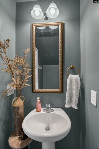 231 Drummond Way, Lexington, SC 29072