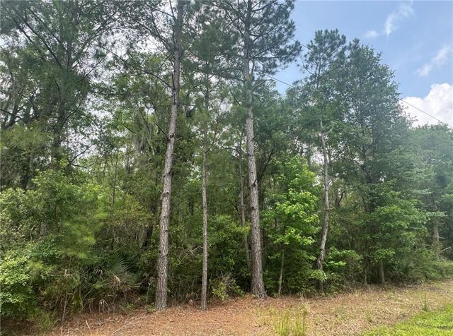 0 Manchester SE Road, Townsend, GA 31331