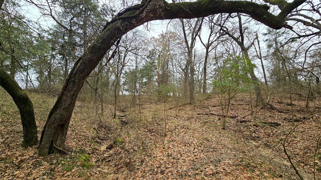 000 FM 274, Bonham, TX 75418