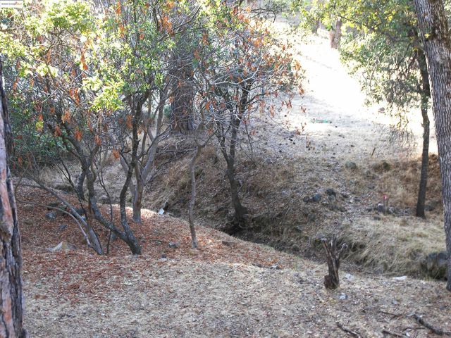 13024 Gamble St., Groveland, CA 95321