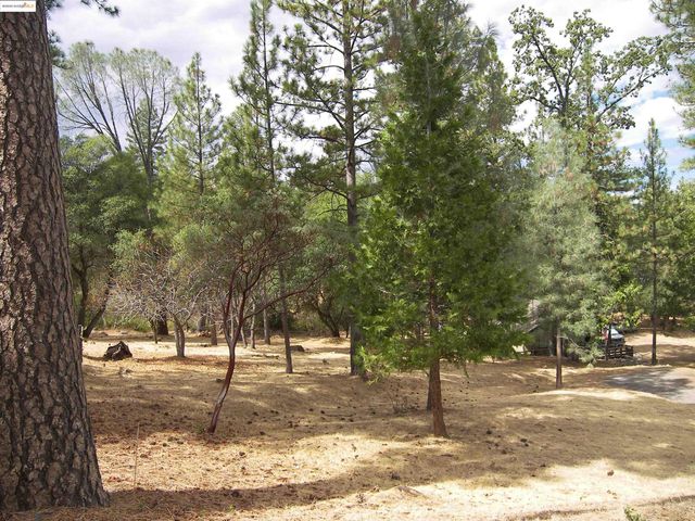 13024 Gamble St., Groveland, CA 95321