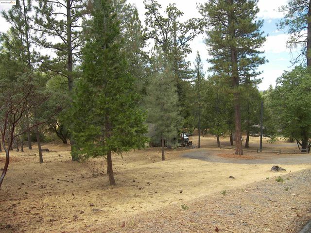 13024 Gamble St., Groveland, CA 95321