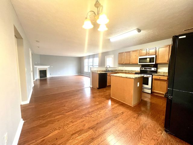 704 Blossom Hill Ct, Smyrna, TN 37167