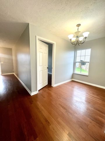 704 Blossom Hill Ct, Smyrna, TN 37167