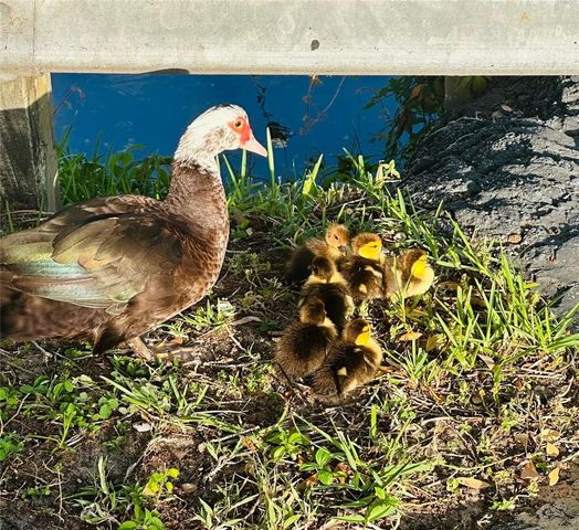 1100 E BAY DRIVE 35, Largo, FL 33770