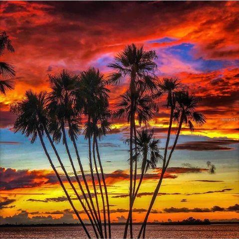 1100 E BAY DRIVE 35, Largo, FL 33770