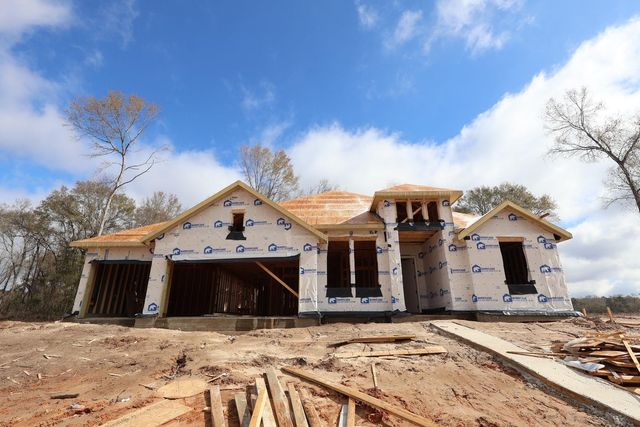 124 Roebuck Lane, New Waverly, TX 77358