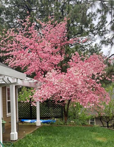 15326 Stinson Dr, Grass Valley, CA 95949