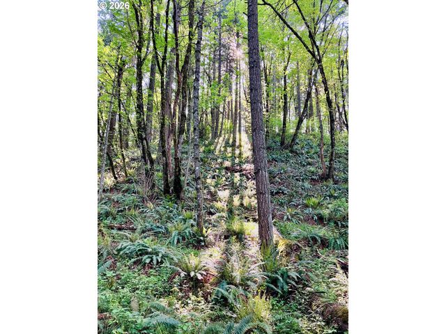 417 STONEWOOD Dr, Eugene, OR 97405