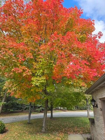 3804 Pheasant Walk Drive, Valparaiso, IN 46383