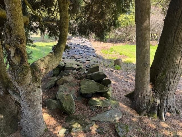 1165 North Craftsbury Road, Craftsbury, VT 05827