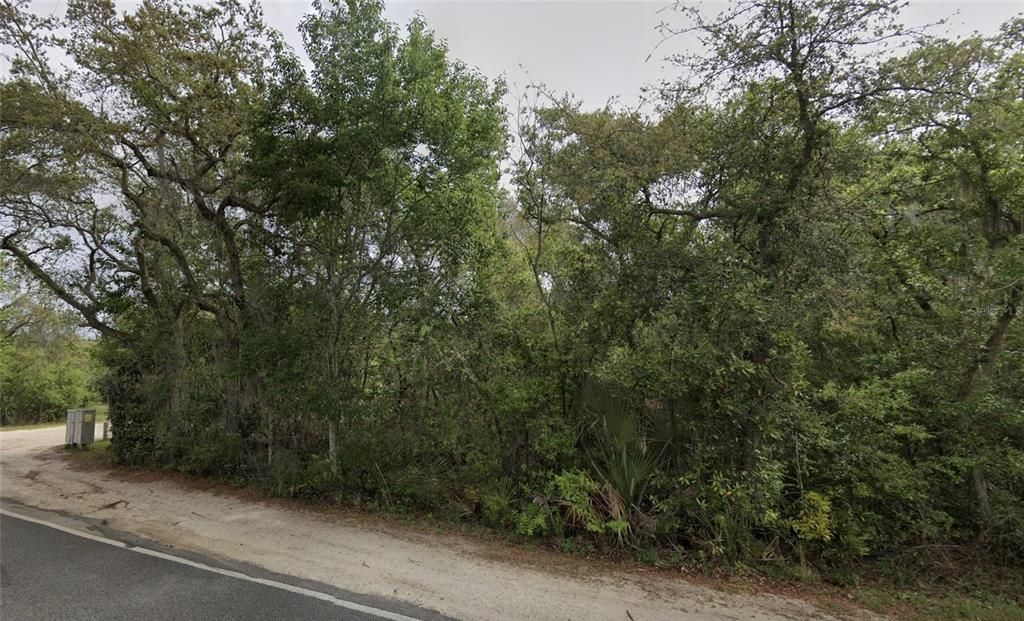 NE 154TH PLACE, Fort Mc Coy, FL 32134