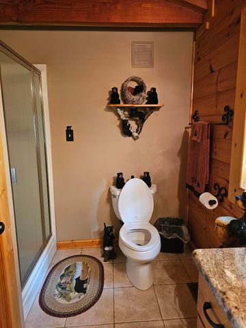 2729 Hatcher Mountain Road, Sevierville, TN 37862