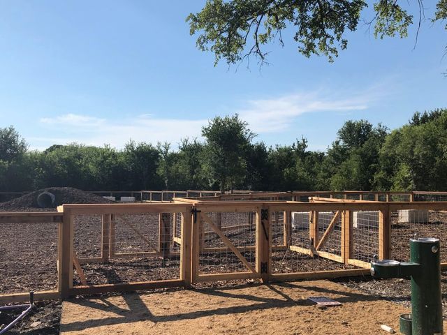 10024 DALLIANCE LN, Manor, TX 78653