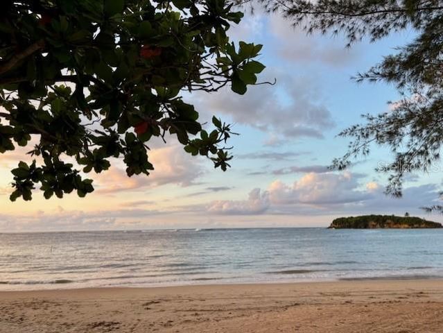 GRAND PALM II CASA F-15 CALLE CEIBA, Vega Alta, PR 00692