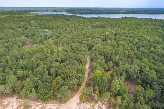 19451 County Road 4307, Larue, TX 75770