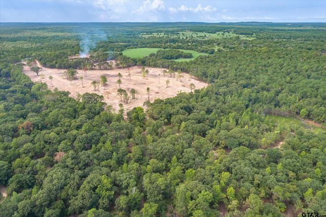 19451 County Road 4307, Larue, TX 75770