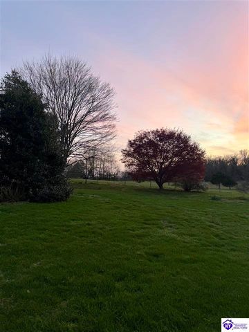 403 Bethlehem Academy Road, Cecilia, KY 42724