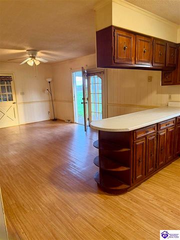 403 Bethlehem Academy Road, Cecilia, KY 42724