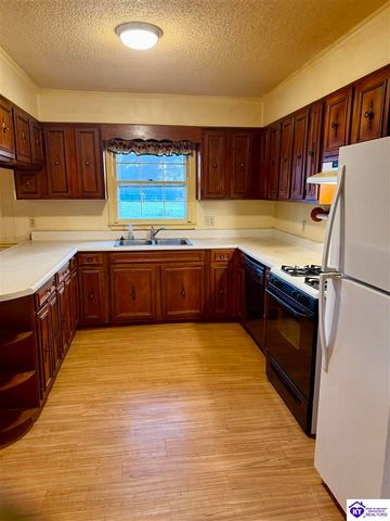 403 Bethlehem Academy Road, Cecilia, KY 42724