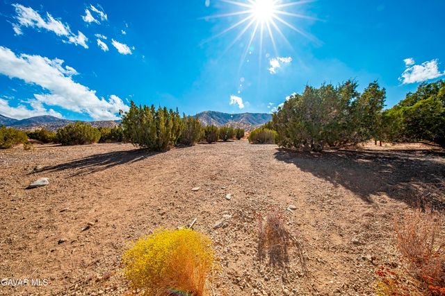 29315 E 121st Street, Juniper Hills, CA 93543