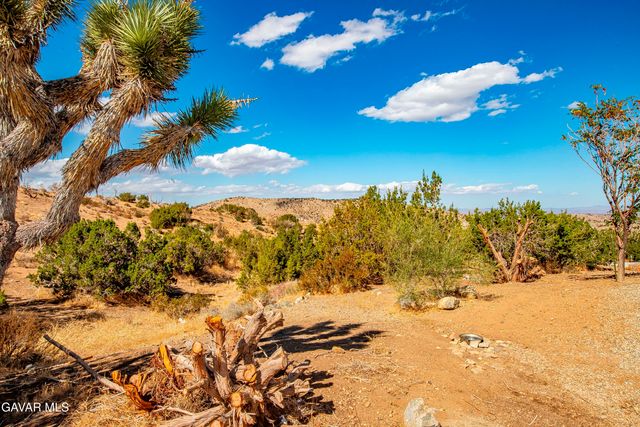 29315 E 121st Street, Juniper Hills, CA 93543