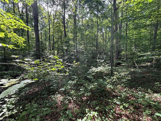 000 Goat Road, Catawba, NC 28609