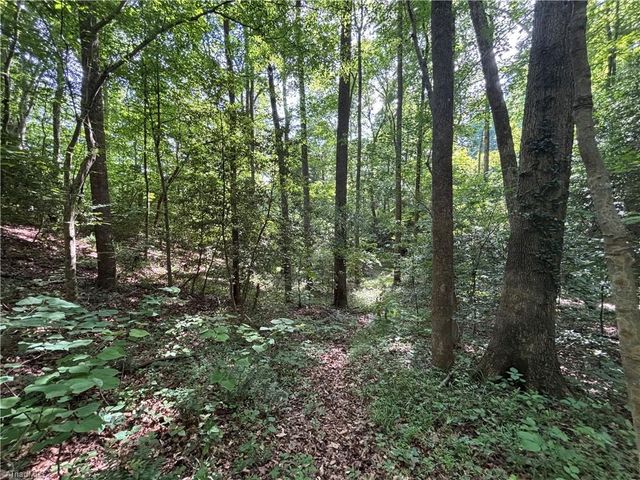 000 Goat Road, Catawba, NC 28609