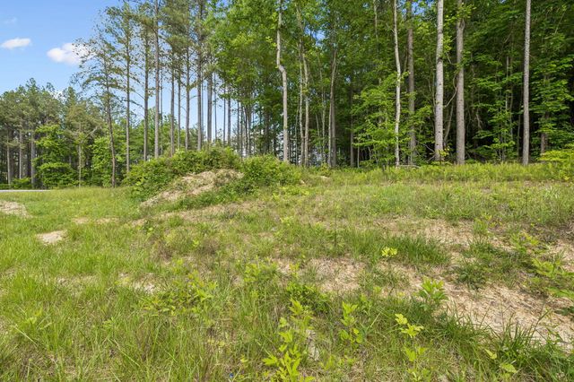 1109 Birds Eye Way, Guild, TN 37340