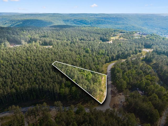1109 Birds Eye Way, Guild, TN 37340
