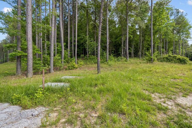 1109 Birds Eye Way, Guild, TN 37340