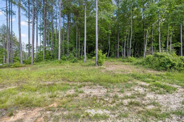 1109 Birds Eye Way, Guild, TN 37340