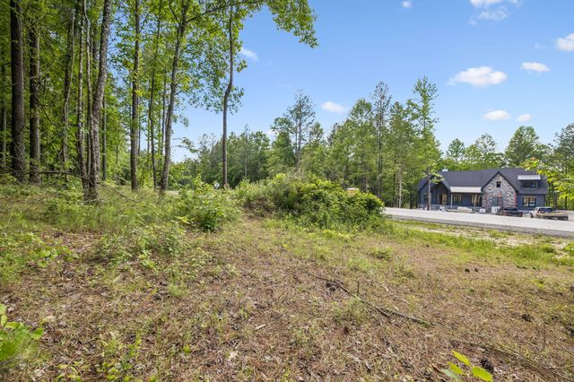 1109 Birds Eye Way, Guild, TN 37340