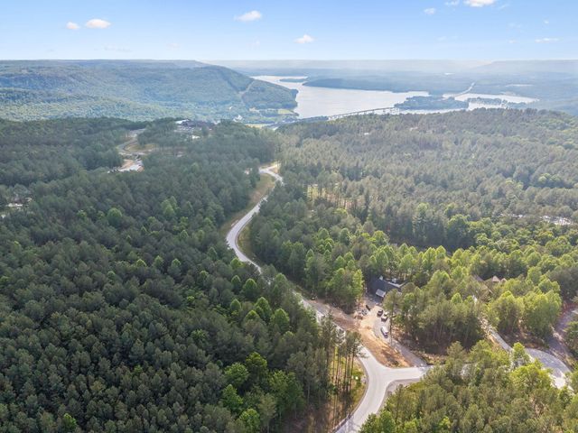 1109 Birds Eye Way, Guild, TN 37340