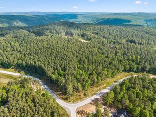 1109 Birds Eye Way, Guild, TN 37340