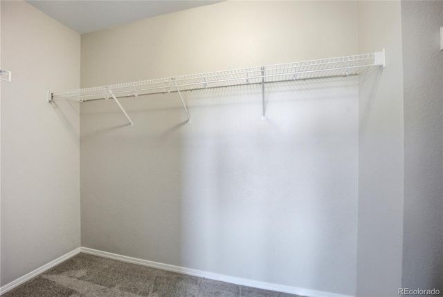 6507 Silverwind Circle, Colorado Springs, CO 80923