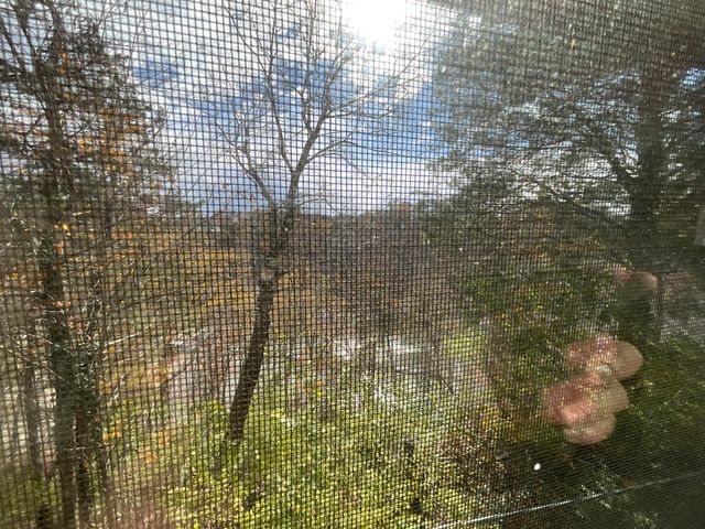 1502 Boat Dock Road, Somerset, KY 42501