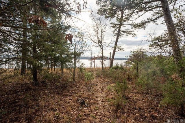 230 Island Shores Drive, Drasco, AR 72530