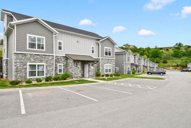 3003 N Vineyards Terrace 3, Branson, MO 65616
