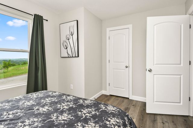 3003 N Vineyards Terrace 3, Branson, MO 65616