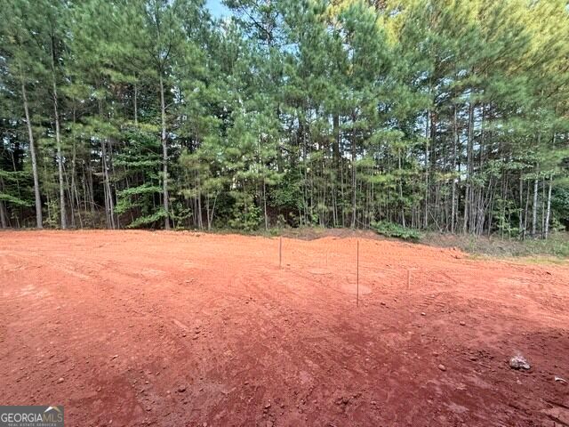155 Iron Bound Trail, Dallas, GA 30132