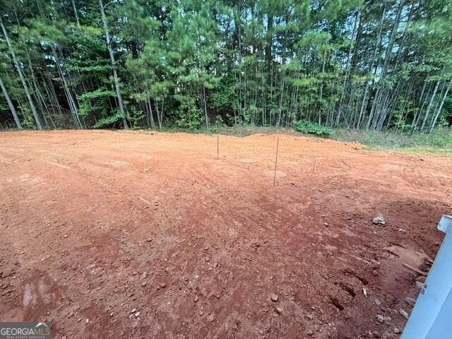 155 Iron Bound Trail, Dallas, GA 30132