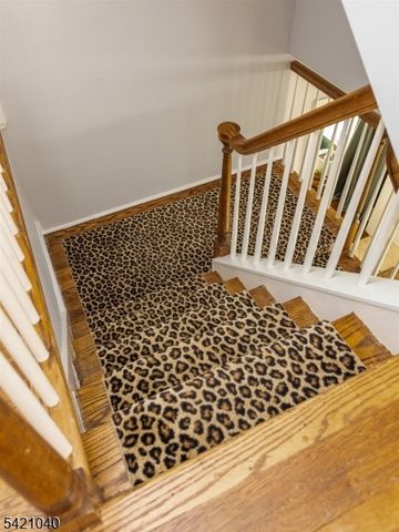 295 Western Dr South, South Orange Village Twp., NJ 07079