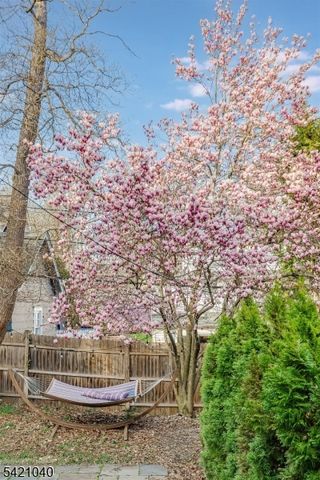 295 Western Dr South, South Orange Village Twp., NJ 07079