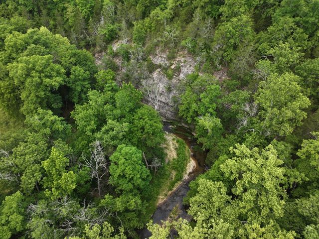 110 Wade Reed Rd, White Bluff, TN 37187