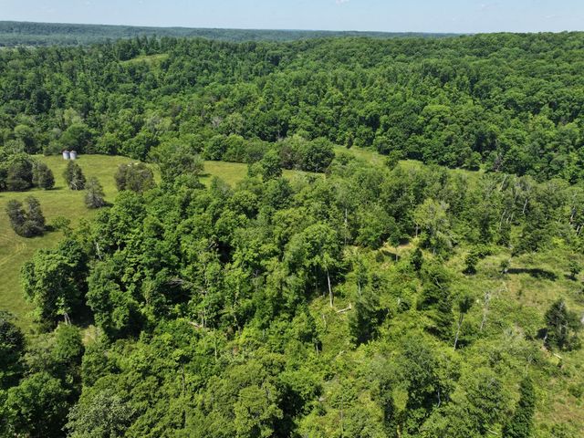 110 Wade Reed Rd, White Bluff, TN 37187
